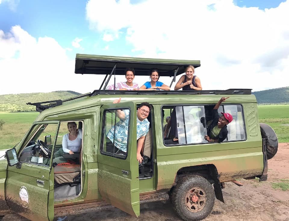 tourists on safari