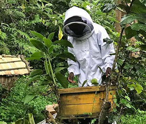 Rwanda-Bee-keeping